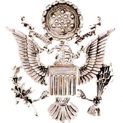 Best reviews of 🎉 Other Brands Air Force Cap Device, Officer Female ⌛