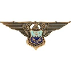 New ❤️ Ira Green, Inc Air Force Officer Inter-American Academy Badge Non-Subdued, Pin-on, Regular Size 🎉