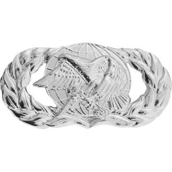 Buy ✨ Vanguard Air Force Basic Supply And Fuels Badge, Mirror Finish, Regular Size ⭐