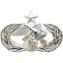 Best deal ⭐ Other Brands Air Force Senior Logistics Readiness Badge, Mirror Finish, Regular Size 💯