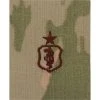 Coupon ❤️ Ira Green, Inc Air Force Specialty Insignia Senior Dentist Sew-On (OCP) ✨ -Deals military Store unnamed file 508