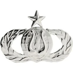 Cheap ✨ Other Brands Air Force Senior Band Badge, Mirror Finish, Regular Size 😍