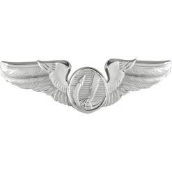 Budget 😍 Other Brands Air Force Basic Remotely Piloted Aircraft (RPA) Badge, Mirror Finish, Regular Size 🛒
