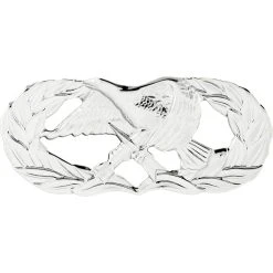 Buy 👍 Other Brands Air Force Basic Maintenance & Munitions Badge, Mirror Finish, Regular Size 🌟