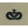 Best Pirce 🥰 Other Brands Air Force Senior Civil Engineer Badge, Subdued Sew-On (ABU) 🎁 1 Best Pirce 🥰 Other Brands Air Force Senior Civil Engineer Badge, Subdued Sew-On (ABU) 🎁 -Deals military Store unnamed file 618