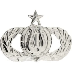 Coupon ✔️ Ira Green, Inc Air Force Badge Band Senior Brite Midsize Pin-on 🌟